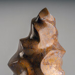 Genuine Polished Brown Lace Jasper Flame // 6lb