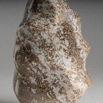 Genuine Polished Ocean Jasper Flame // 2.25lb