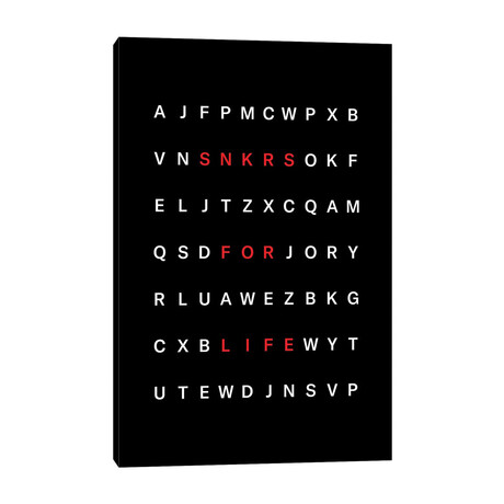 SNKRS For Life // avesix (18"H x 12"W x 1.5"D)