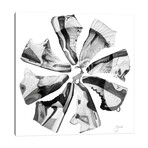 Air's Heirs // Josiah Jones (12"H x 12"W x 1.5"D)