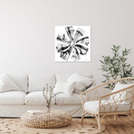 Air's Heirs // Josiah Jones (12"H x 12"W x 1.5"D)