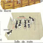 Logement Des Bovins // Emile Deyrolle