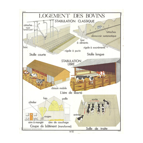 Logement Des Bovins // Emile Deyrolle