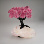 Genuine Rose Quartz Clustered Gemstone Tree on Rose Quartz Matrix V1 // The Eternal Love Tree  // 8.6 lbs