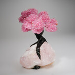 Genuine Rose Quartz Clustered Gemstone Tree on Rose Quartz Matrix V2 // The Eternal Love Tree // 8.6 lbs