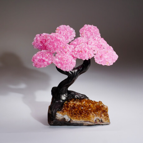 Genuine Rose Quartz Clustered Gemstone Tree on Citrine Matrix // The Comfort Tree // 3 lbs