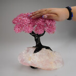 Genuine Rose Quartz Clustered Gemstone Tree on Rose Quartz Matrix V1 // The Eternal Love Tree  // 8.6 lbs