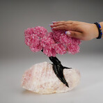 Genuine Rose Quartz Clustered Gemstone Tree on Rose Quartz Matrix // The Eternal Love Tree // 8.2 lbs