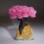 Genuine Rose Quartz Clustered Gemstone Tree on Citrine Matrix // The Comfort Tree // 6 lbs