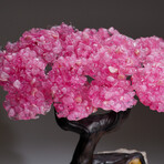 Genuine Rose Quartz Clustered Gemstone Tree on Citrine Matrix // The Comfort Tree // 6 lbs