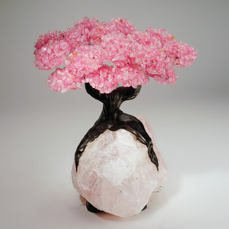 Genuine Rose Quartz Clustered Gemstone Tree on Rose Quartz Matrix V2 // The Eternal Love Tree // 8.6 lbs