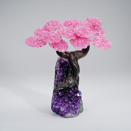 Genuine Rose Quartz Clustered Gemstone Tree on Amethyst Matrix // The Love Tree