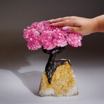 Genuine Rose Quartz Clustered Gemstone Tree on Citrine Matrix // The Comfort Tree // 6 lbs