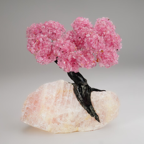 Genuine Rose Quartz Clustered Gemstone Tree on Rose Quartz Matrix // The Eternal Love Tree // 8.2 lbs