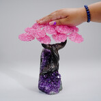 Genuine Rose Quartz Clustered Gemstone Tree on Amethyst Matrix // The Love Tree