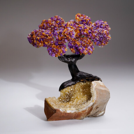 Genuine Ametrine Clustered Gemstone Tree on Citrine Crystal Matrix // Tranquility Tree