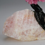 Genuine Rose Quartz Clustered Gemstone Tree on Rose Quartz Matrix // The Eternal Love Tree // 8.2 lbs