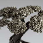 Medium Pyrite Clustered Gemstone Tree on Clear Quartz Matrix // The Tree of Clarity // 2lb