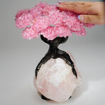 Genuine Rose Quartz Clustered Gemstone Tree on Rose Quartz Matrix V2 // The Eternal Love Tree // 8.6 lbs