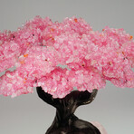 Genuine Rose Quartz Clustered Gemstone Tree on Rose Quartz Matrix V2 // The Eternal Love Tree // 8.6 lbs