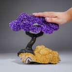 Genuine Amethyst Clustered Gemstone Tree on Citrine Matrix // The Empowerment Tree