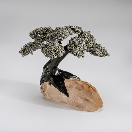 Medium Pyrite Clustered Gemstone Tree on Clear Quartz Matrix // The Tree of Clarity // 2lb