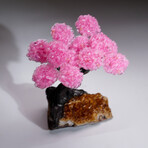 Genuine Rose Quartz Clustered Gemstone Tree on Citrine Matrix // The Comfort Tree // 3 lbs