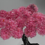 Genuine Rose Quartz Clustered Gemstone Tree on Rose Quartz Matrix V1 // The Eternal Love Tree  // 8.6 lbs