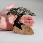 Medium Pyrite Clustered Gemstone Tree on Clear Quartz Matrix // The Tree of Clarity // 2lb