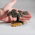 Small Pyrite Clustered Gemstone Tree on Citrine Matrix // Tree of Luxury // 1lb