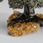 Small Pyrite Clustered Gemstone Tree on Citrine Matrix // Tree of Luxury // 1lb