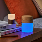 Large Lemelia Light // Natural Walnut Wood