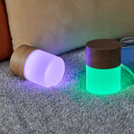 Large Lemelia Light // Natural Walnut Wood