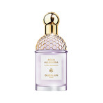 Guerlain // Women's Aqua Allegoria Flora Salvaggia // 125ml