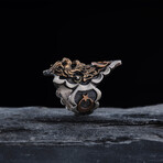 Lion Head Design Ring (9)