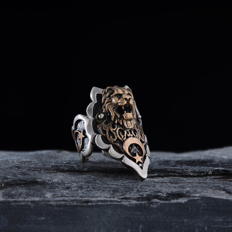 Lion Head Design Ring (9)