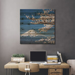 Spring In Japan XXVI // Daniel Kordan (26"H x 26"W x 1.5"D)