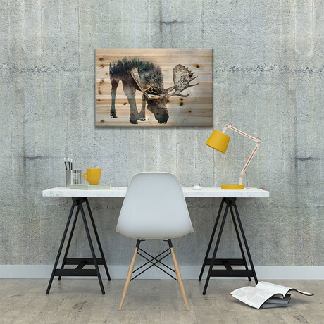 Nature Moose // Paul Haag (18"H x 26"W x 1.5"D)