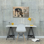 Nature Moose // Paul Haag (18"H x 26"W x 1.5"D)