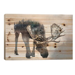 Nature Moose // Paul Haag (18"H x 26"W x 1.5"D)