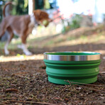 Hydaway Collapsible Bowl // 32 Fl. Oz. // Set of 2 // Fern