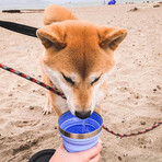 Hydaway Collapsible Cup // 12 Fl. Oz. // Set of 2 // Glacier