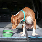 Hydaway Collapsible Bowl // 32 Fl. Oz. // Set of 2 // Fern