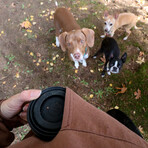 Hydaway Collapsible Cup // 12 Fl. Oz. // Set of 2 // Jet Black