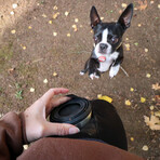 Hydaway Collapsible Cup // 12 Fl. Oz. // Set of 2 // Jet Black