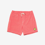 Sandbar Short // Burnt Sienna (29)