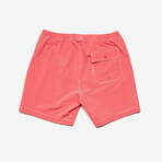 Sandbar Short // Burnt Sienna (29)