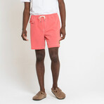 Sandbar Short // Burnt Sienna (29)