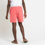 Sandbar Short // Burnt Sienna (29)