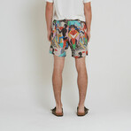 Vespacific Boardshort // Multi (31)